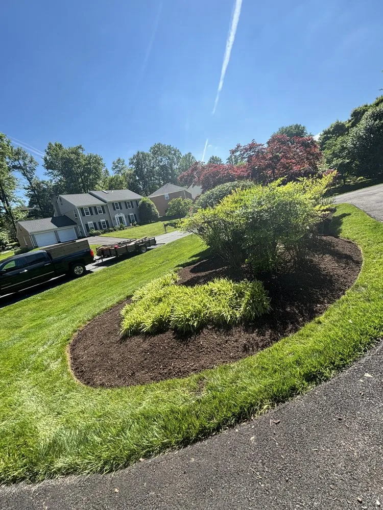 Affordable yard cleanup service in Gaithersburg, MD by Gutierrez Rivas Landscaping