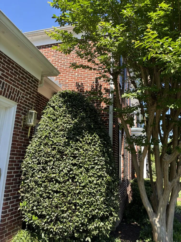 Local lawn care service in Gaithersburg, MD - Gutierrez Rivas Landscaping