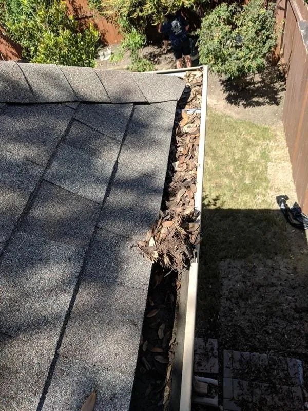 Reliable outdoor landscaping experts serving Yuba City, CA - Gutter Boys and Lawn Care