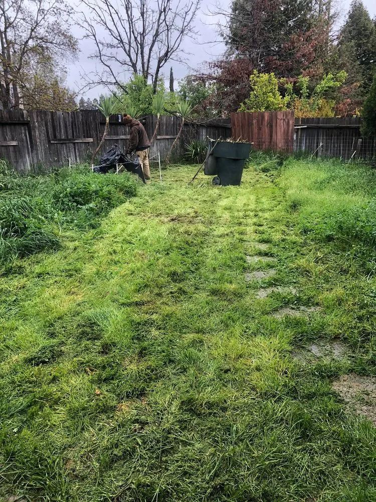 Expert residential landscaping in Yuba City, CA - Gutter Boys and Lawn Care