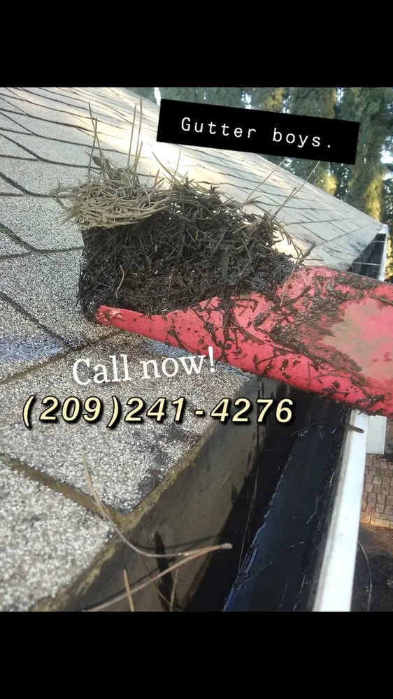 Trusted garden landscaping for homes in Yuba City, CA by Gutter Boys and Lawn Care