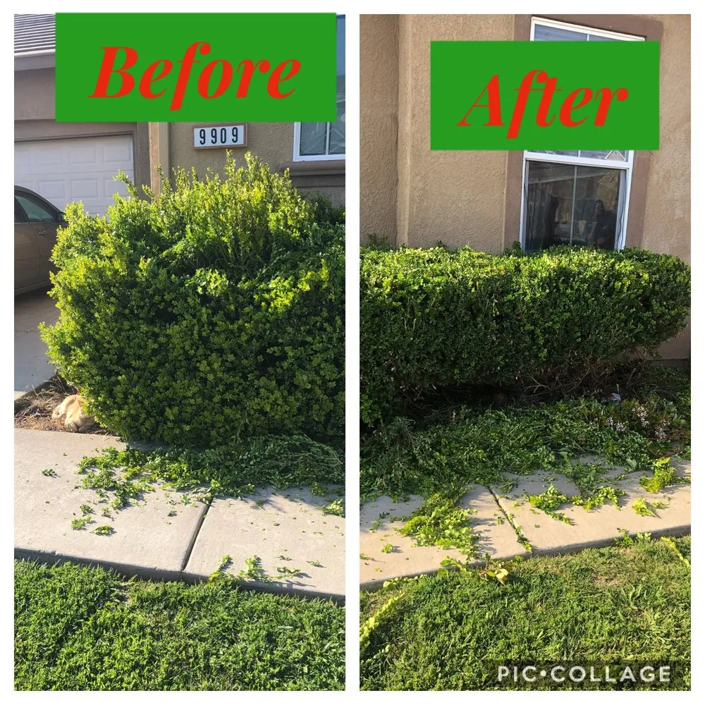 Reliable garden landscaping experts serving Yuba City, CA - Gutter Boys and Lawn Care