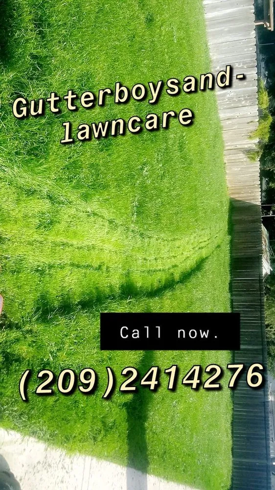 Expert yard cleanup service in Yuba City, CA - Gutter Boys and Lawn Care