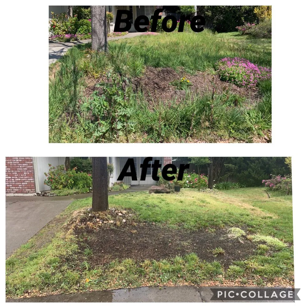 Local garden landscaping in Yuba City, CA by Gutter Boys and Lawn Care