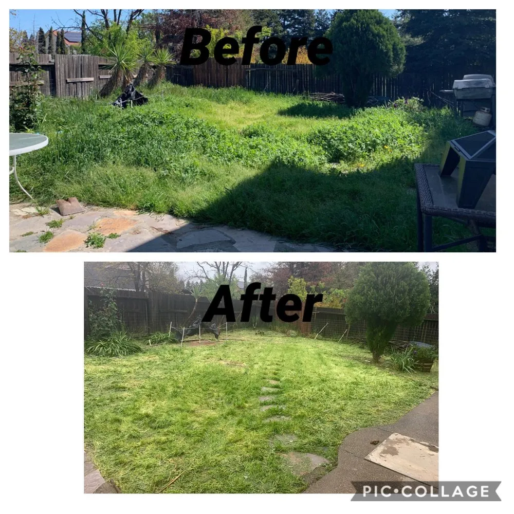 Local residential landscaping in Yuba City, CA - Gutter Boys and Lawn Care