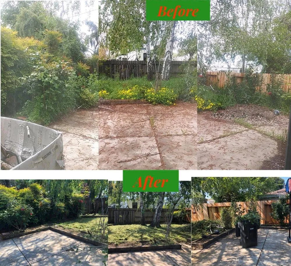 Professional landscape installation in Yuba City, CA - Gutter Boys and Lawn Care