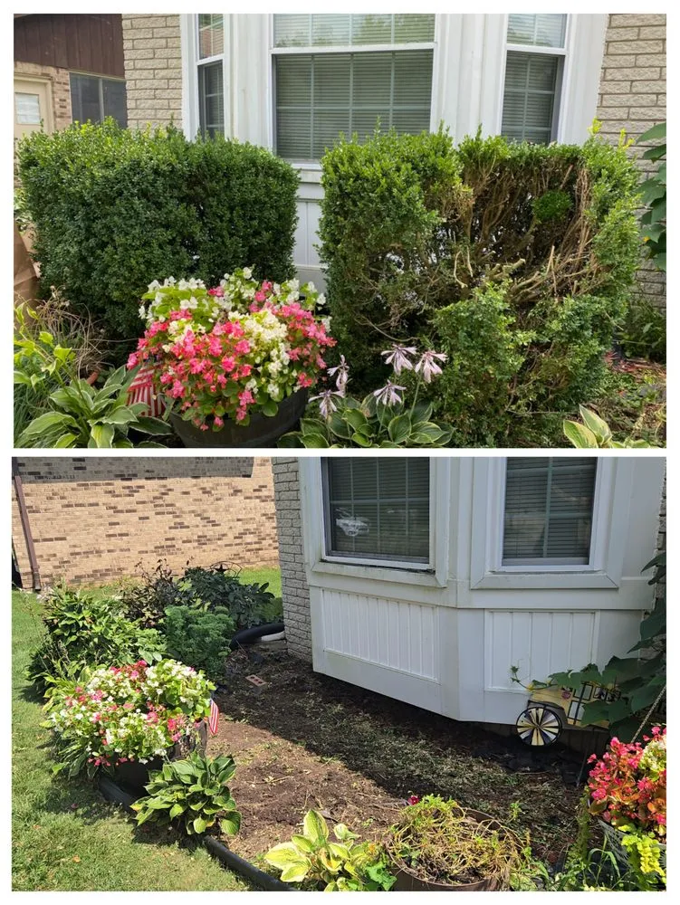 Affordable outdoor landscaping in Canton Township, MI by Gutter Cleaning & Landscaping