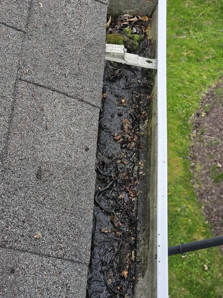 Affordable lawn mowing service with custom design across Kittanning, PA - Gutter Done