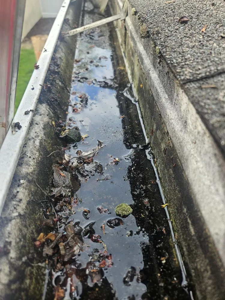 Professional yard maintenance experts serving Kittanning, PA - Gutter Done