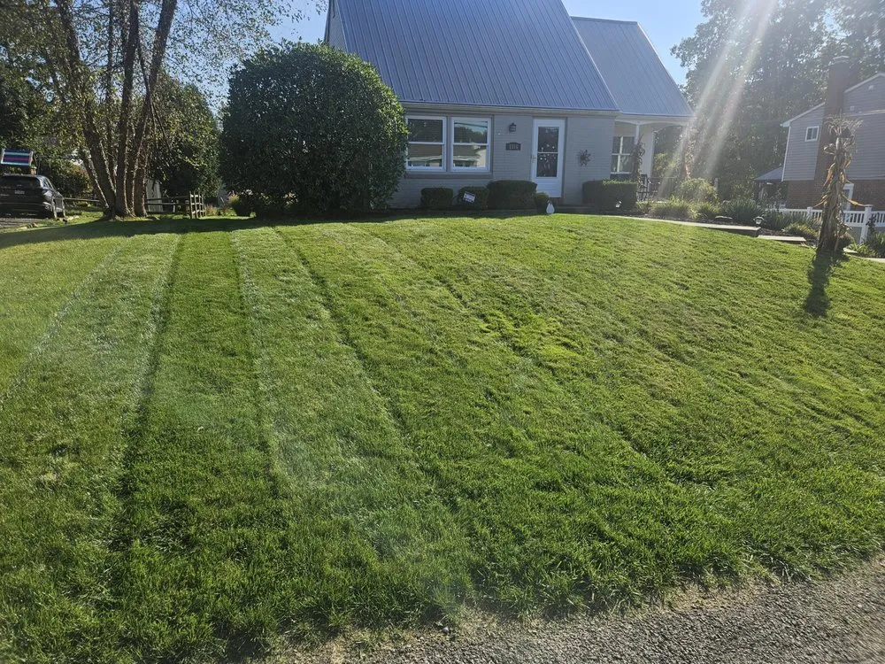 Expert landscape design experts serving Kittanning, PA - Gutter Done