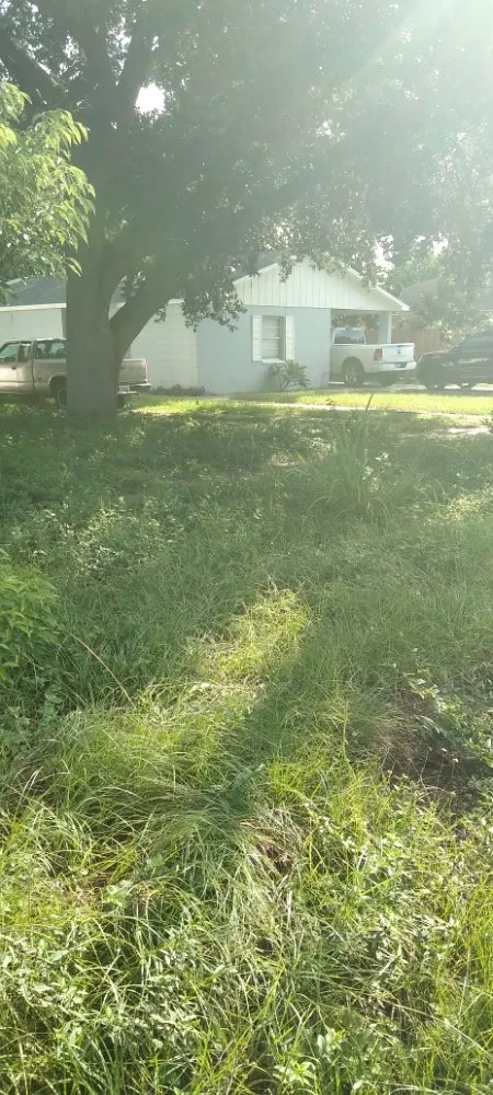 Expert lawn care service for beautiful yards in Lakeland, FL by Gutters and Lawns improvement