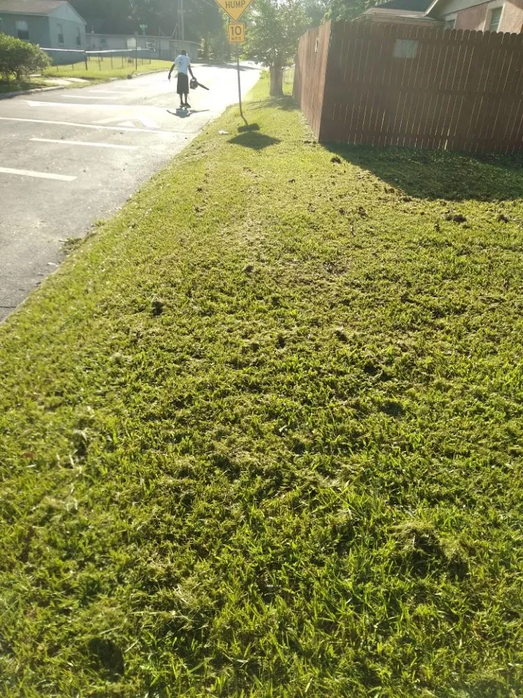 Local outdoor landscaping near you across Lakeland, FL - Gutters and Lawns improvement