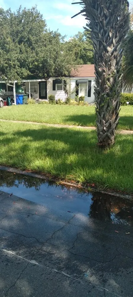 Professional garden landscaping experts serving Lakeland, FL - Gutters and Lawns improvement