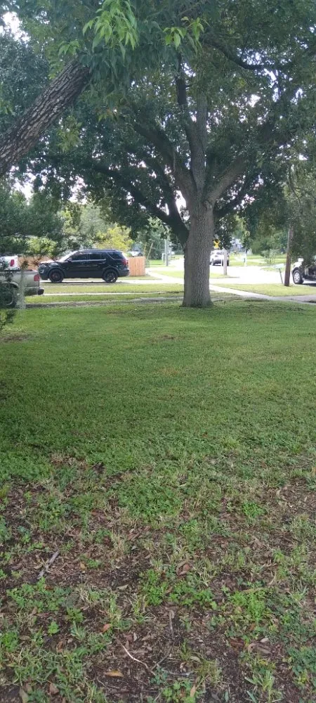 Affordable landscape installation in Lakeland, FL - Gutters and Lawns improvement