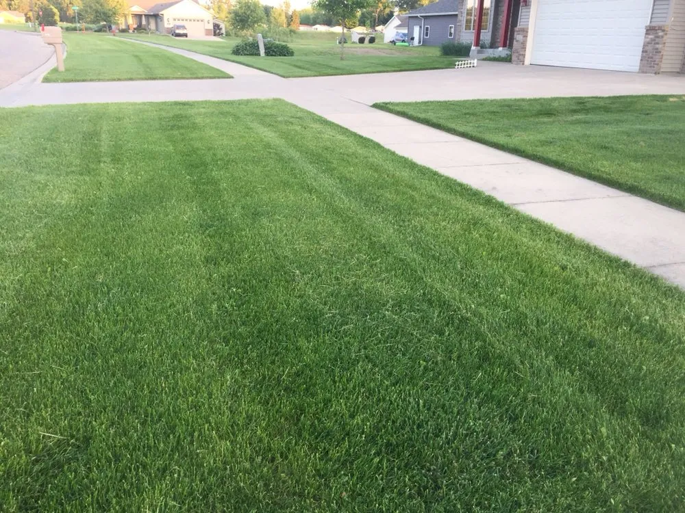 Expert yard cleanup service experts serving Faribault, MN - GUTY LAWN CARE