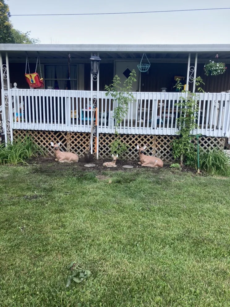 Professional landscaping services for beautiful yards across Springfield, OH - Guy & Ty’s Home Improvement