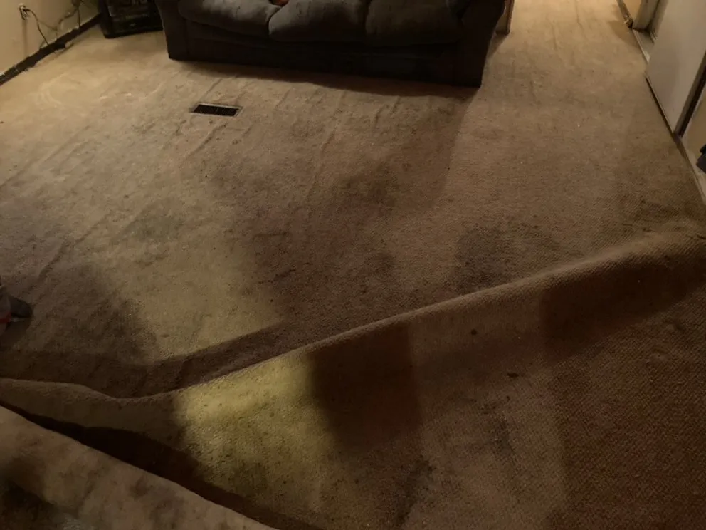 Expert landscape design for beautiful yards across Springfield, OH - Guy & Ty’s Home Improvement