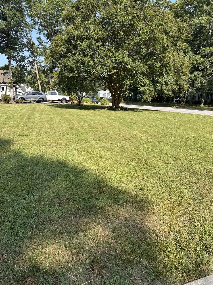 Professional residential landscaping for year-round maintenance across Prince George, VA - Guy and a Mower