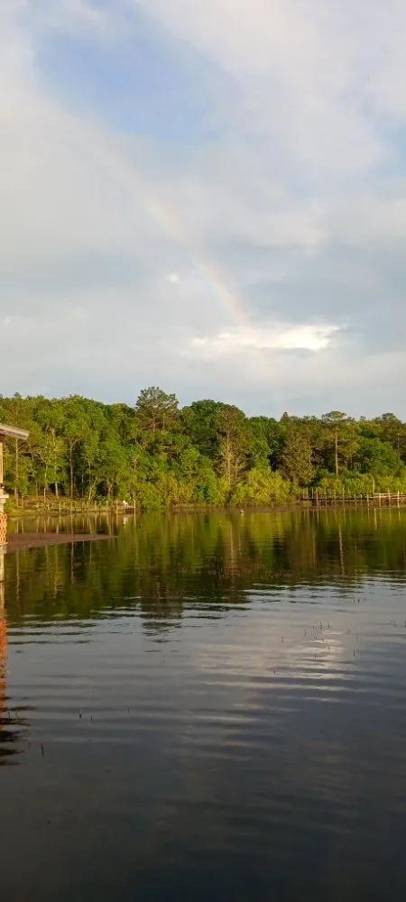 Local lawn mowing service experts serving DeFuniak Springs, FL - Guy Peters lawn care & services