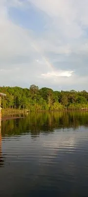 Guy Peters lawn care & services