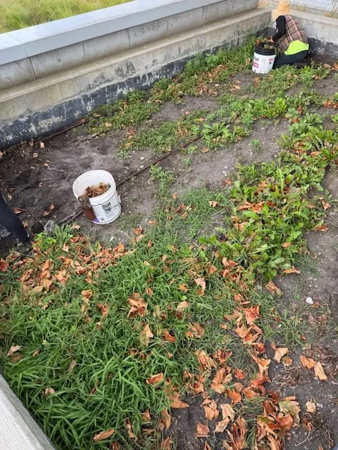 Reliable residential landscaping in Waterbury, VT by Guyette Property Management