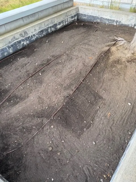 Trusted yard cleanup service experts serving Waterbury, VT - Guyette Property Management