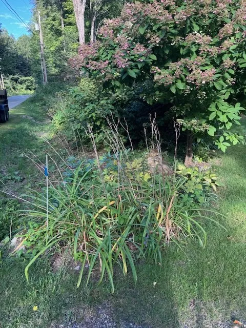 Custom lawn mowing service for homes across Waterbury, VT - Guyette Property Management