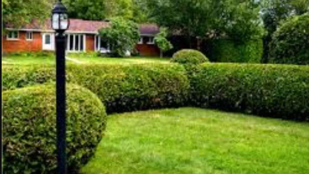 Trusted landscape design with custom design in Ararat, VA by Guynn's Lawn Care