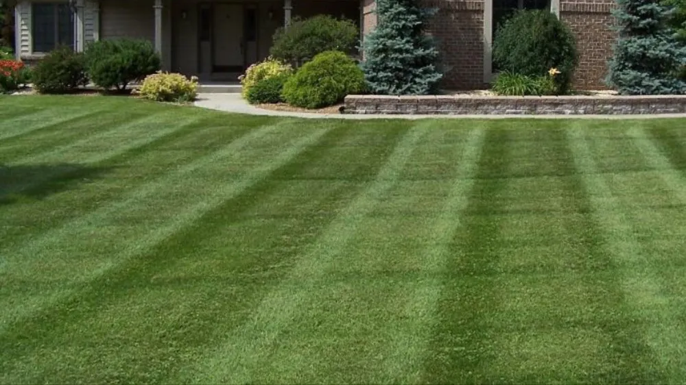 Top-rated outdoor landscaping in Ararat, VA - Guynn's Lawn Care