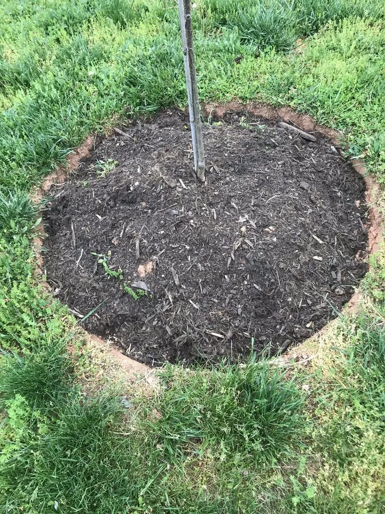 Local outdoor landscaping in Ararat, VA - Guynn's Lawn Care