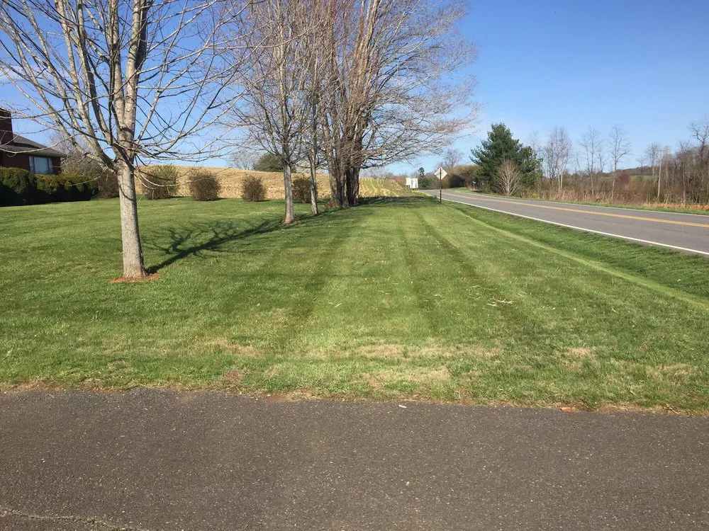 Professional yard cleanup service for year-round maintenance in Ararat, VA by Guynn's Lawn Care