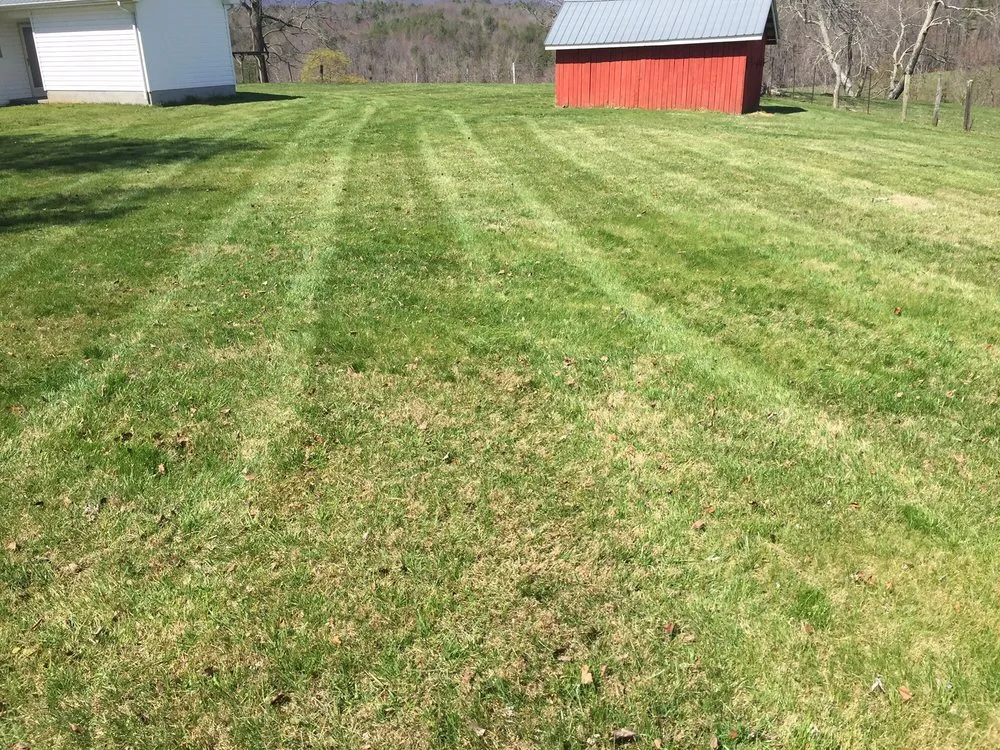 Affordable outdoor landscaping near you across Ararat, VA - Guynn's Lawn Care