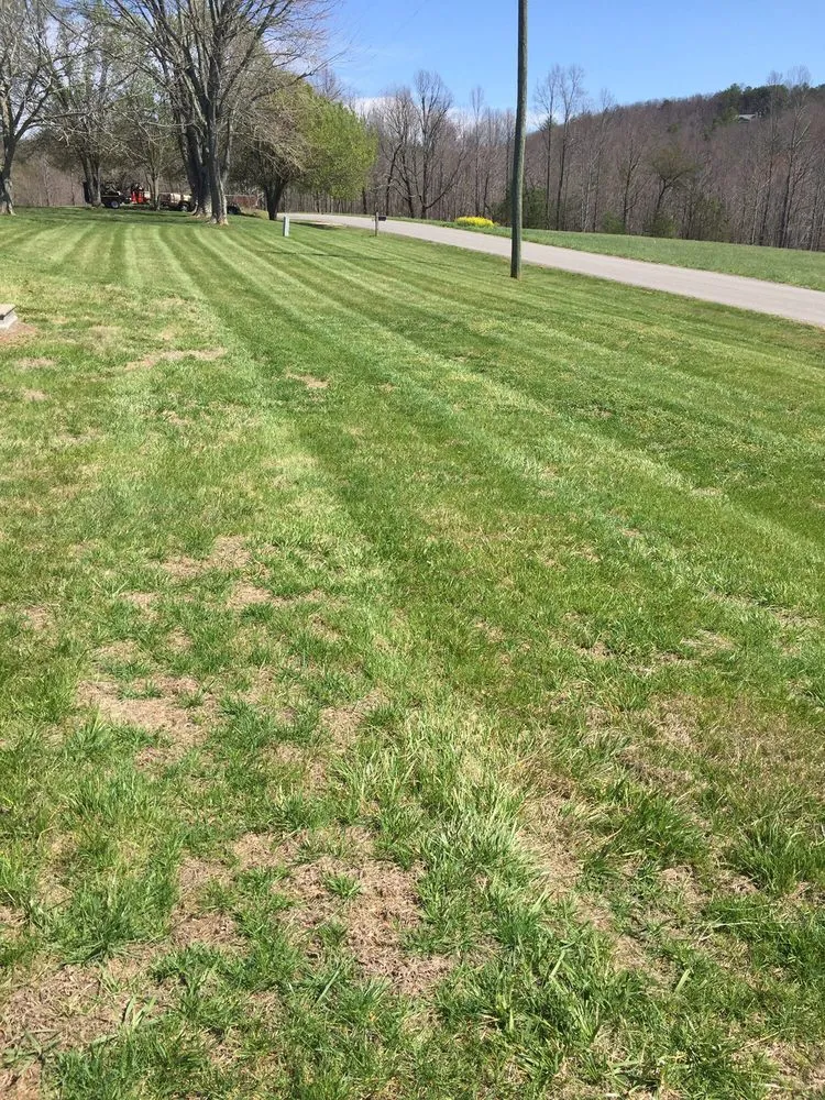 Custom landscape design for outdoor upgrades in Ararat, VA by Guynn's Lawn Care