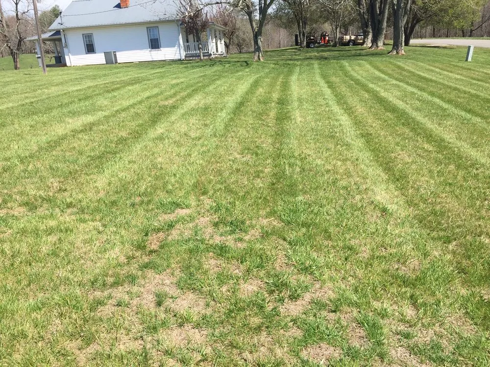 Top-rated yard cleanup service experts serving Ararat, VA - Guynn's Lawn Care
