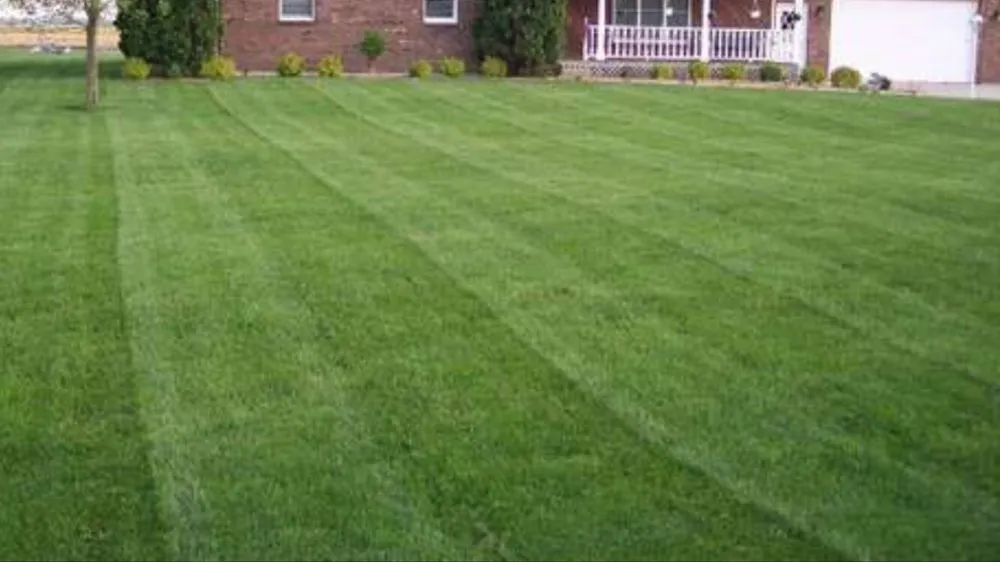 Affordable yard maintenance experts serving Ararat, VA - Guynn's Lawn Care