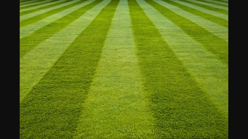 Local lawn mowing service near you in Ararat, VA by Guynn's Lawn Care