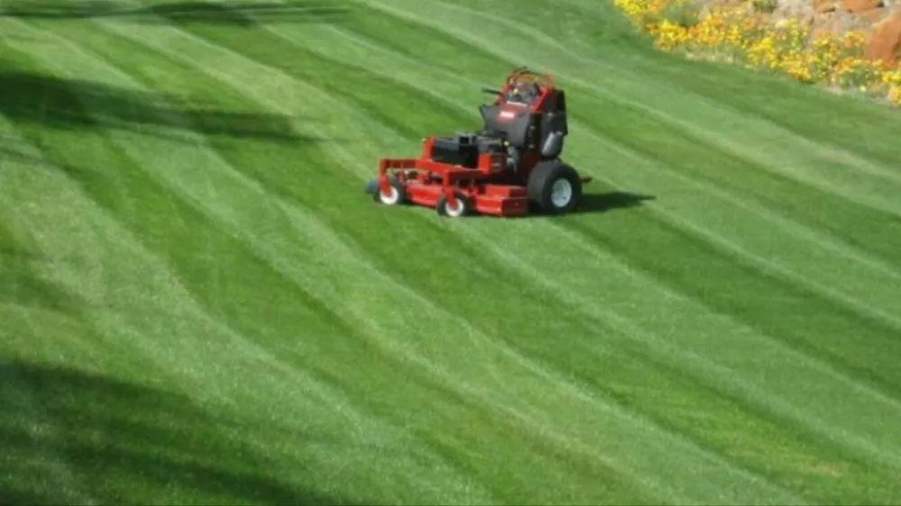 Affordable yard cleanup service in Ararat, VA by Guynn's Lawn Care