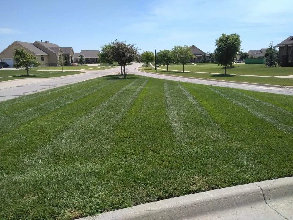 Expert landscape installation with custom design in Wichita, KS by Guys With Green Shoes