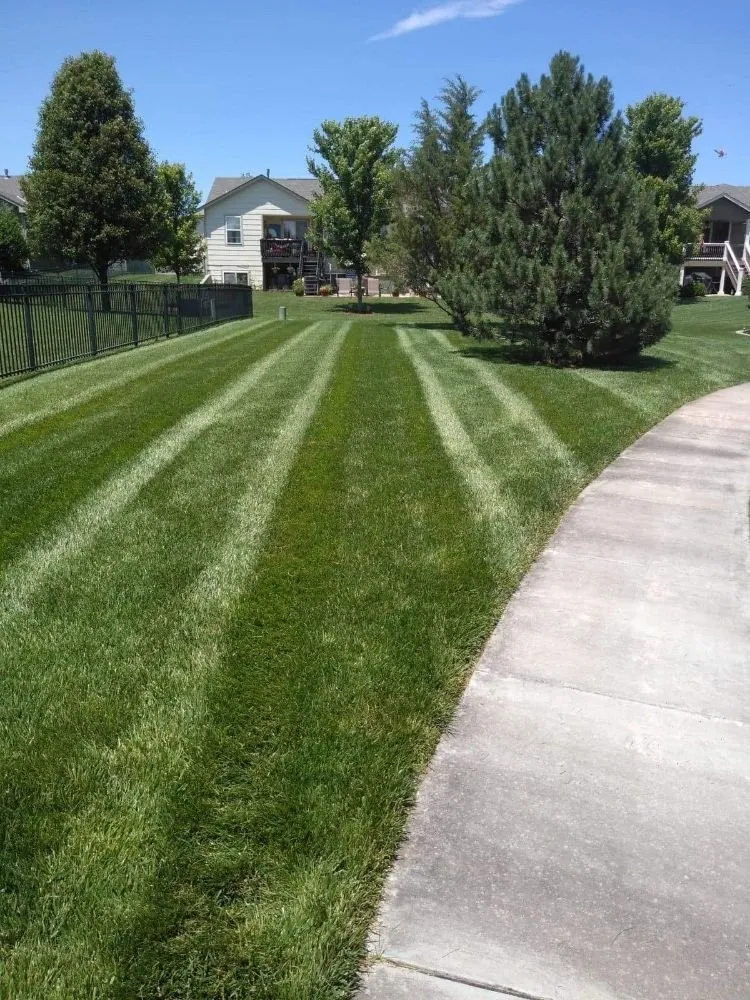 Affordable garden landscaping for year-round maintenance in Wichita, KS by Guys With Green Shoes