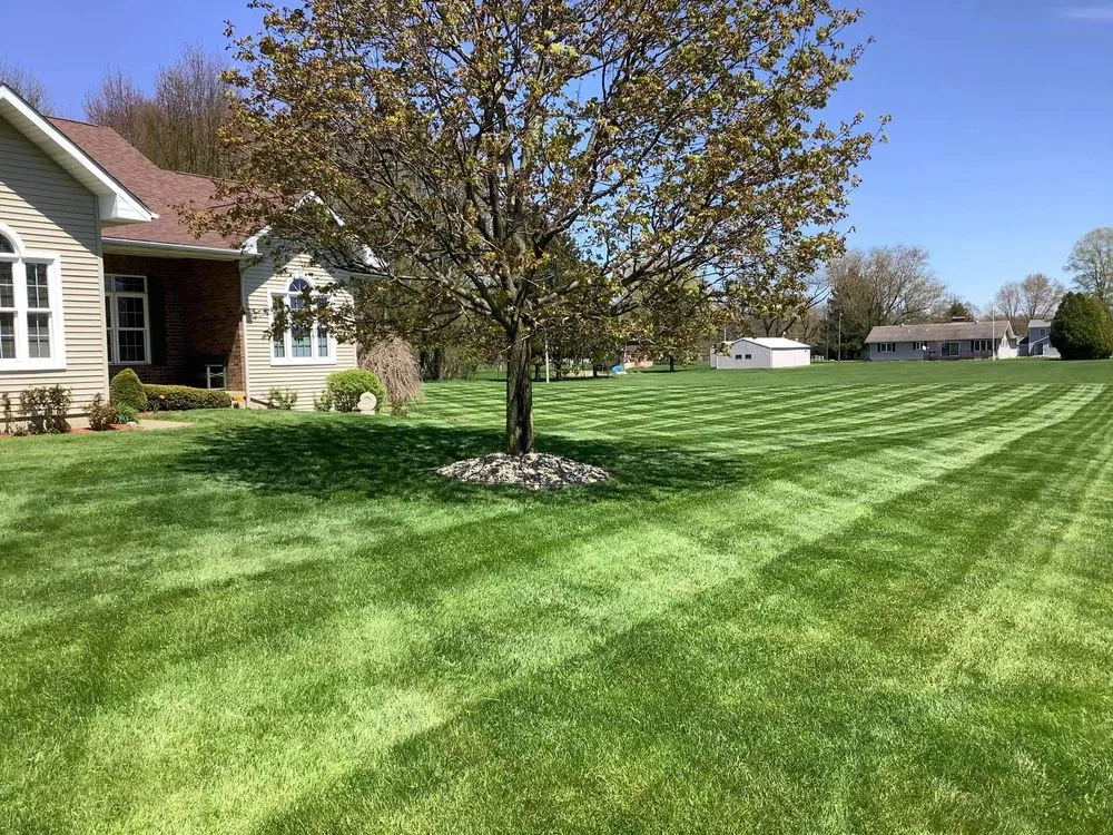 Expert lawn mowing service in Battle Creek, MI - Guys with Ties Lawn Care