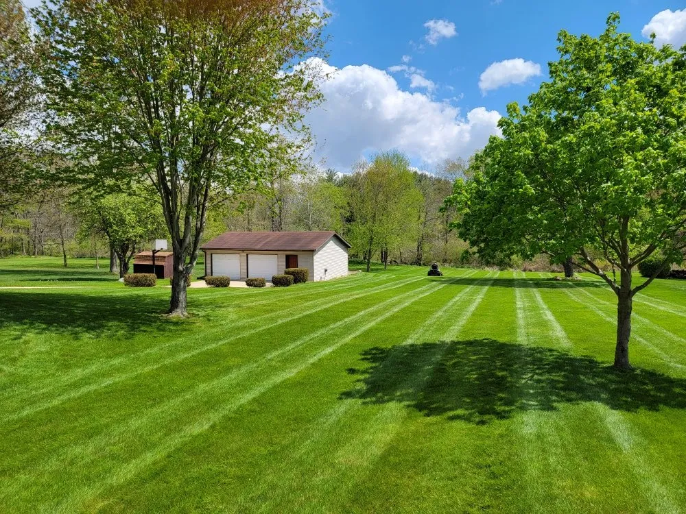 Local yard cleanup service in Battle Creek, MI by Guys with Ties Lawn Care