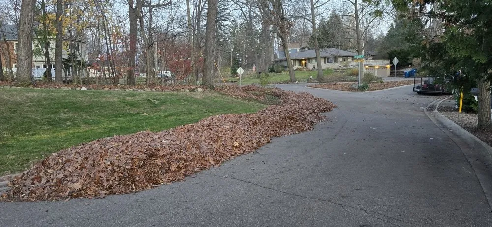 Professional outdoor landscaping experts serving Grand Rapids, MI - Guys With Ties Lawn Care