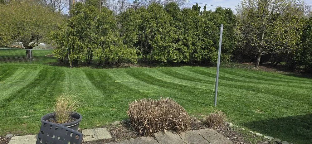 Reliable landscape design in Grand Rapids, MI by Guys With Ties Lawn Care