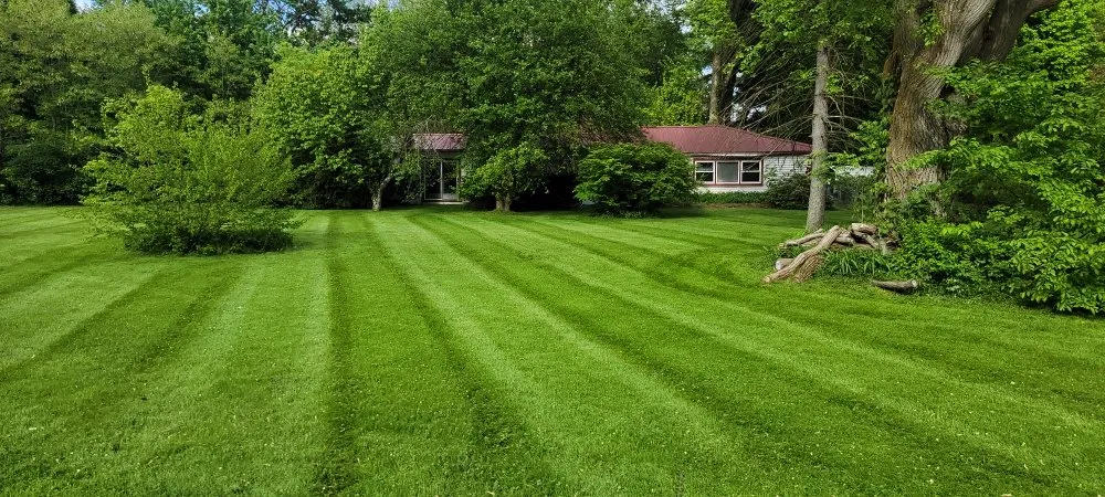 Local yard maintenance for beautiful yards in Grand Rapids, MI by Guys With Ties Lawn Care