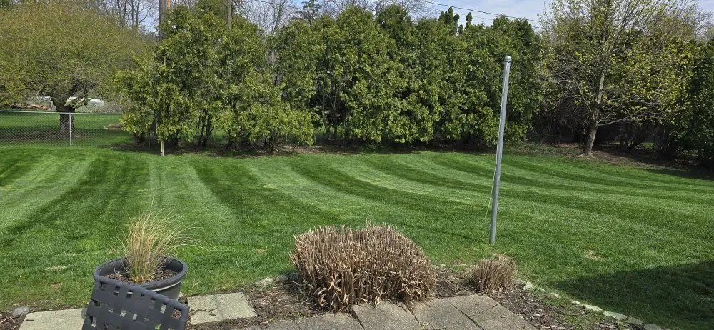 Custom landscaping services experts serving Grand Rapids, MI - Guys With Ties Lawn Care