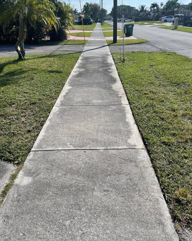 Local yard cleanup service in Miami, FL by Guzarc lawn services