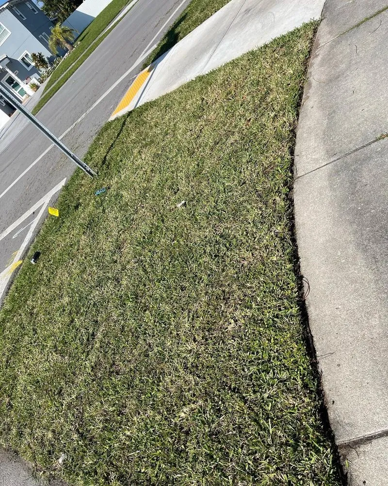 Expert garden landscaping in Miami, FL by Guzarc lawn services