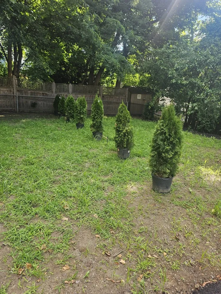 Reliable landscape installation in Clinton, MA - Guzman Construction