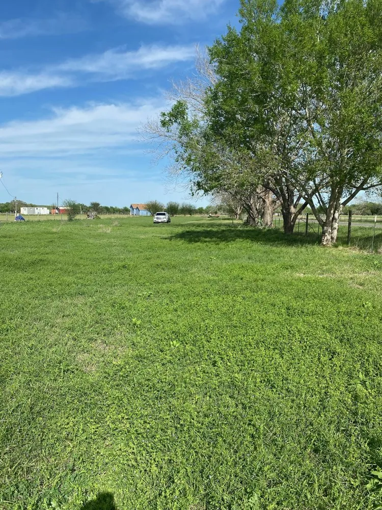 Trusted garden landscaping for residential properties in Corpus Christi, TX by Guzman Ftw