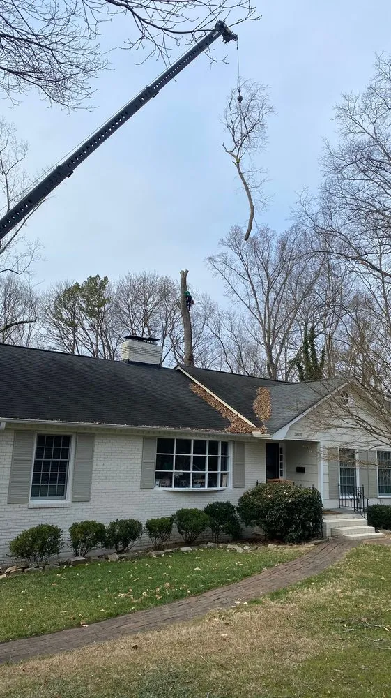 Expert lawn mowing service for beautiful yards across Charlotte, NC - Guzman Green Land & Tree